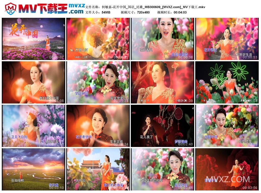 何敏嘉-花开中国_国语_民歌_MB300609